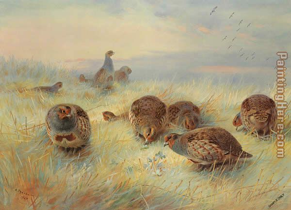 A Frosty Dawn painting - Archibald Thorburn A Frosty Dawn art painting
